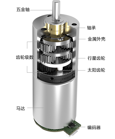 24MM�������ٳ�����